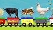 Farm Animals Train | Learn Farm Animals & Animal Sounds | Star Kids TV