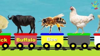 Farm Animals Train | Learn Farm Animals & Animal Sounds | Star Kids TV