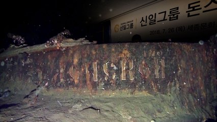 [단독] 보물선→침몰선...신일그룹 사명·사업목적 변경 / YTN