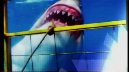 Built For The Kill - Ambush - National Geographic Wild