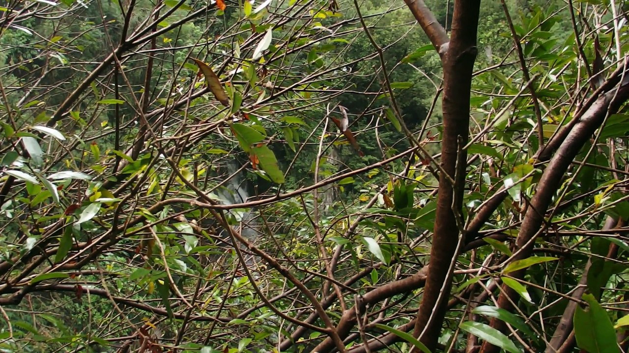 Cascade de Grand Galet (St Joseph ) Ile de la Réunion