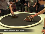 Finals SUMO robot competition