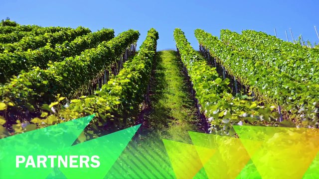 Semi-Autonomous Vineyard Spraying Agricultural Robot (SAVSAR) - Hellenic Open University Experiments