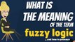 What is FUZZY LOGIC? What does FUZZY LOGIC mean? FUZZY LOGIC meaning & explanation