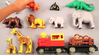 Learn Zoo Animals For Kids With Zebra Tiger Monkey Crocodile Bear Lion Elephant Giraffe Zo