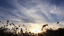 FREE Time-lapse Fast Moving Clouds Background Stock Footage For Your Music or Video