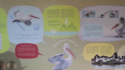 360Grade - Klesta - Klosi: Divjaka nje sezon me te mire se ai I kaluari