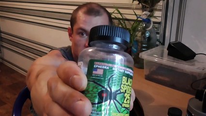 Жиросжигатель Black Spider 25 Ephedra (Черная Вдова) - как принимать и какие побочные эффекты?
