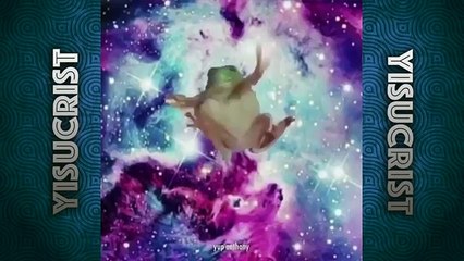 MEJORES MEMES DE SHOOTING STARS