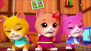 ba chú mèo con nhỏ | bài hát cho trẻ em | mèo con vần | ươm vần | Three Little Kittens Rhymes