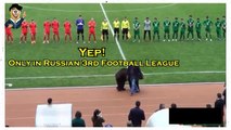 غرائب مونديال روسيا  مباشرة  دب يدخل الملعب و يعطي الكرة للحكم شاهد ردة فعل الجمهور
