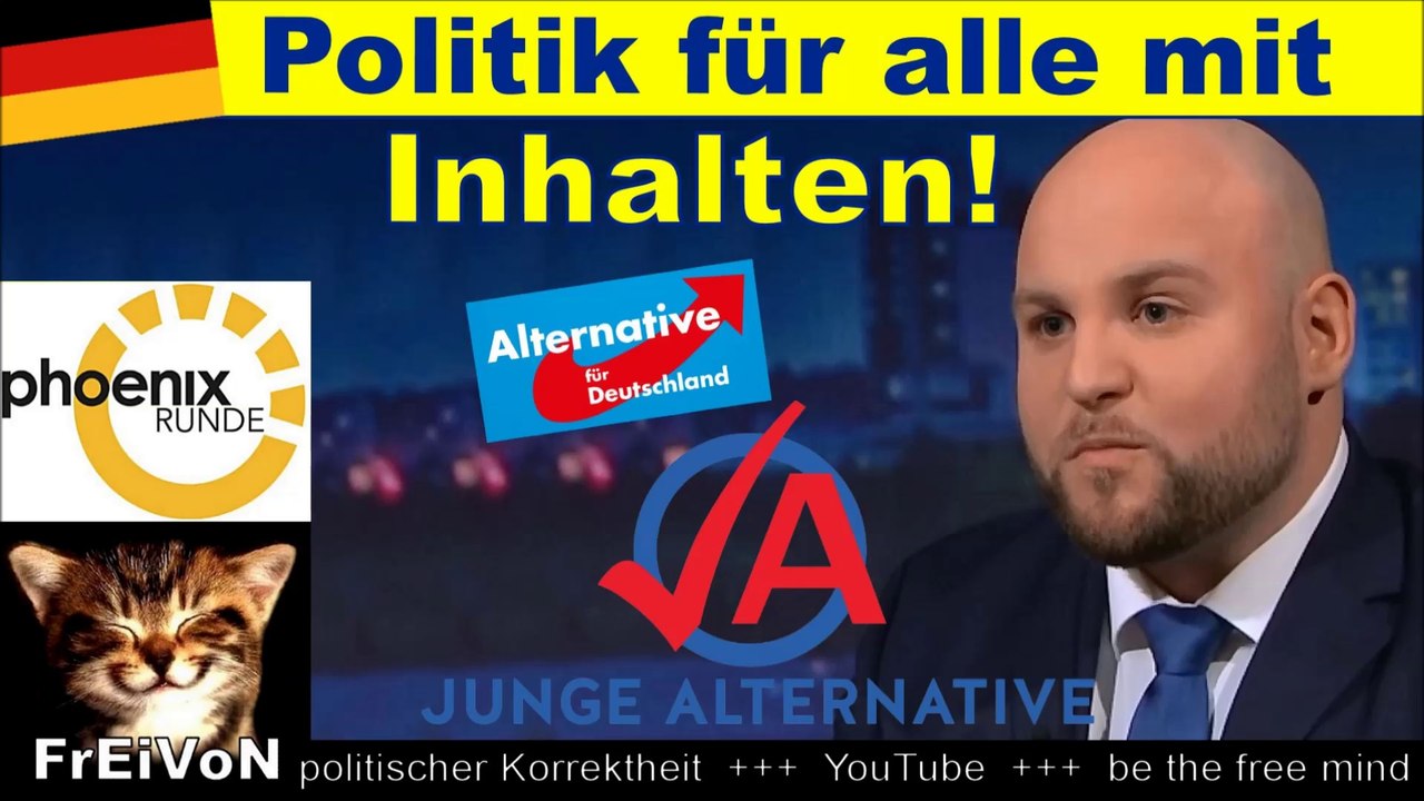Junge Alternative * FROHNMAIER: AfD macht POLITIK mit INHALTEN - FÜR ALLE! 'phönix Runde'