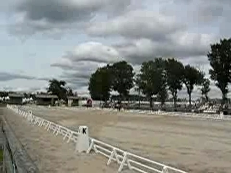 lamotte 2007 cce d1e