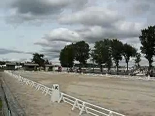 lamotte 2007 cce d1e