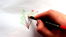 How To Draw A Flower Plant With Colored Pencils: Lesson 1