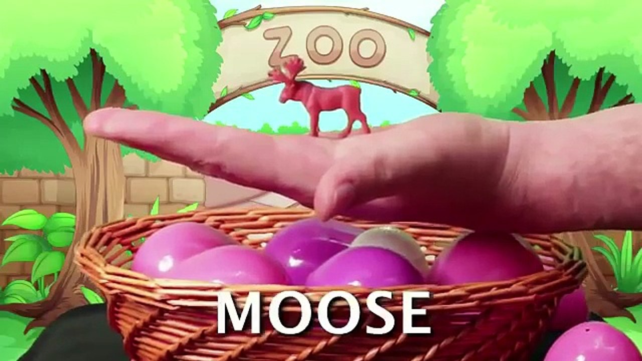 Babies Toddlers Pre schoolers: Learn the names of Zoo, Rainforest and Farm animals and Sea