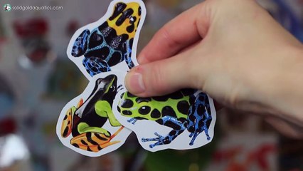 FAN MAIL UNBOXING + answering your questions