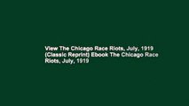 View The Chicago Race Riots, July, 1919 (Classic Reprint) Ebook The Chicago Race Riots, July, 1919