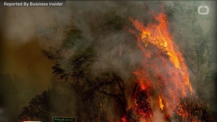 Wildfire In Northern California Creates 'Fire Vortex'