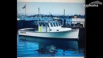 PRICE REDUCTION32'Mitchell Cove Downeast fishing boatCole BayPrice, Info and contact by clicking on >> cypho.ma/32-mitchell-cove-downeast-fishing-boat-lym