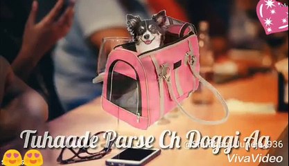 WhatsAap Status Made in INDIA Guru Randhawa 2018