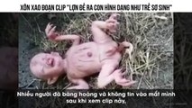 XÔN XAO ĐOẠN CLIP 