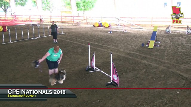 Edan Standard Rd1 CPE Nationals 2018