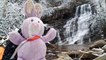 Down the Rabbit Hole: Margarette Falls in Winter