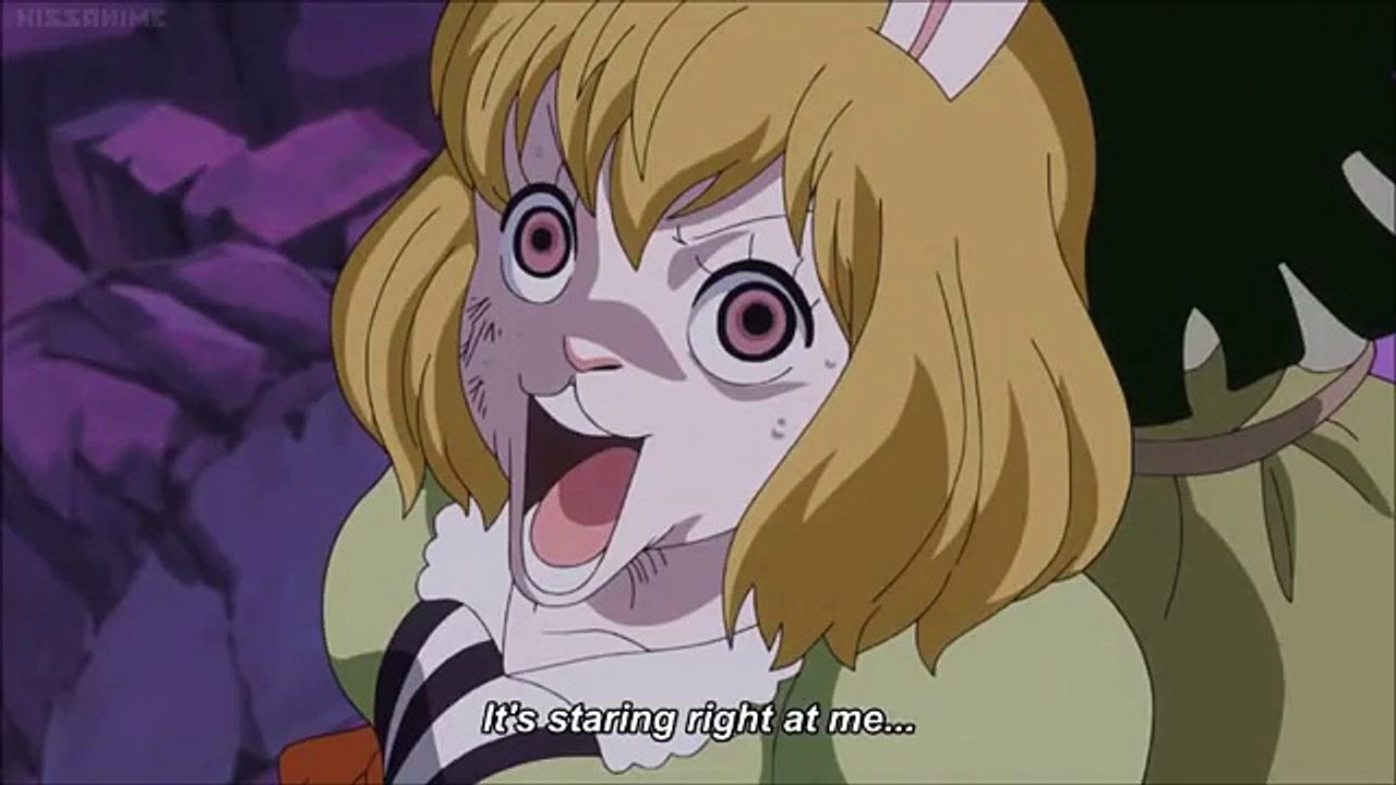 One Piece Carrot Disguise Into Stuffed Bunny Video Dailymotion