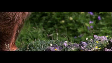 [National Geographic] Wild Russia 2009