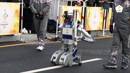 Hubo at the Winter Olympic Torch Relay at KAIST