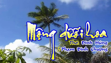 [Karaoke] MỘNG DƯỚI HOA - Phạm Đình Chương - Thơ: Đinh Hùng (Giọng Nam: D)