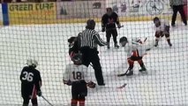 Amazing Youth Ice Hockey Goal