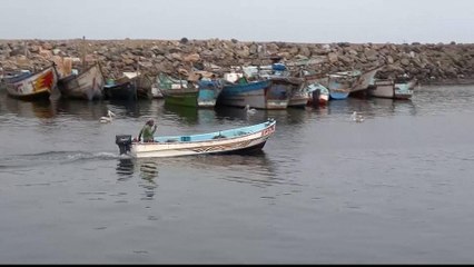 Yemen: Three years of war takes its toll on Hodeidah fishermen