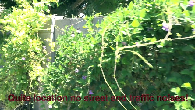 Are you looking for homes in apache junction