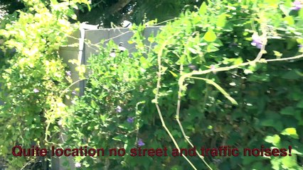 Are you looking for homes in apache junction