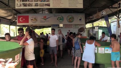 Üç yüzgeçli caretta yavrusu korumaya alındı - MUĞLA