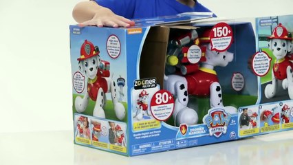 Kids Unboxing Toys - Episode 4 - PAW PATROL ZOOMER MARSHALL