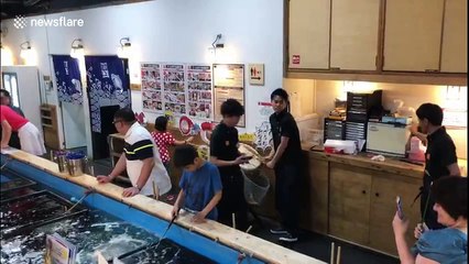 Welcome to the Japanese restaurant where you catch your own fish