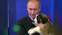 Vladimir Poutine et les animaux (propagande ?)