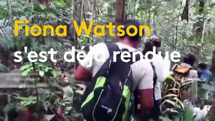 "Des gens veulent sa mort" : comment un indigène brésilien survit seul dans la forêt amazonienne