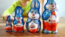 5 different Kinder Surprise Easter Bunnies some Kinder Eggs and Big Package