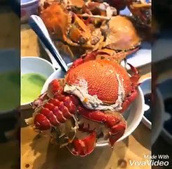 Thời gian đẹp nhất để du lịch Lý Sơn - Ohman.vn