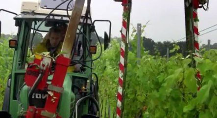 Harbour Lives S01  E03 E 3