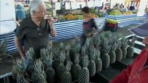 Brazilian researchers are developing an innovative process using pineapples to speed the healing process for skin wounds. VOA's Julie Taboh has more.Originally