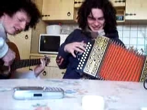 Toxicity - guitare et accordéon diatonique