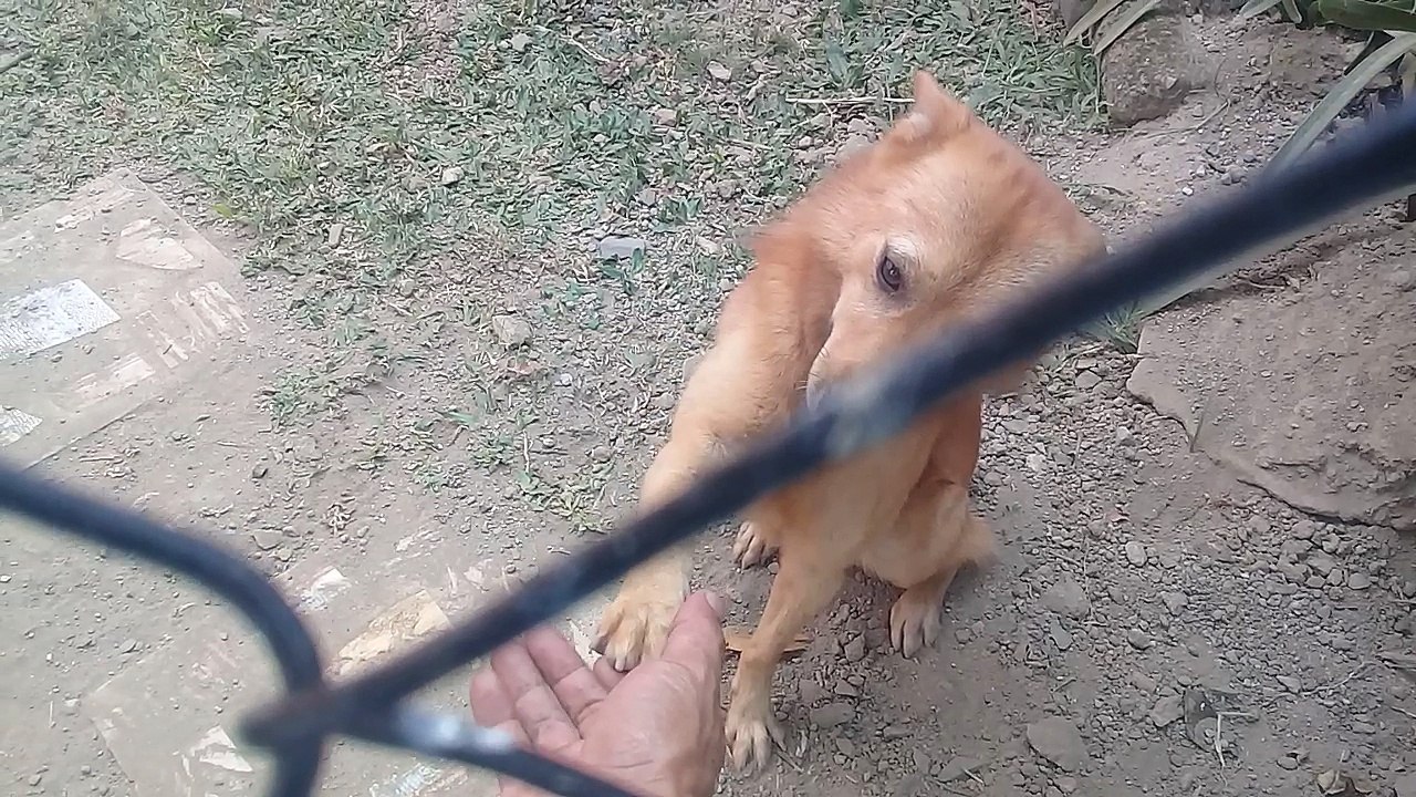 The Handshake