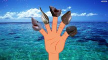 Crazy Shark Finger Family Nursery Rhyme | Animal Finger Family | Fish Finger Family for ch
