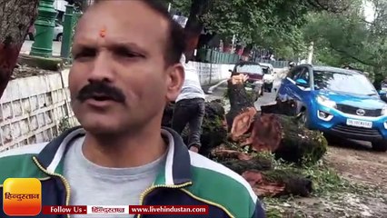 नैनीताल में खतरा बन चुके पेड़ों को काटना शुरू