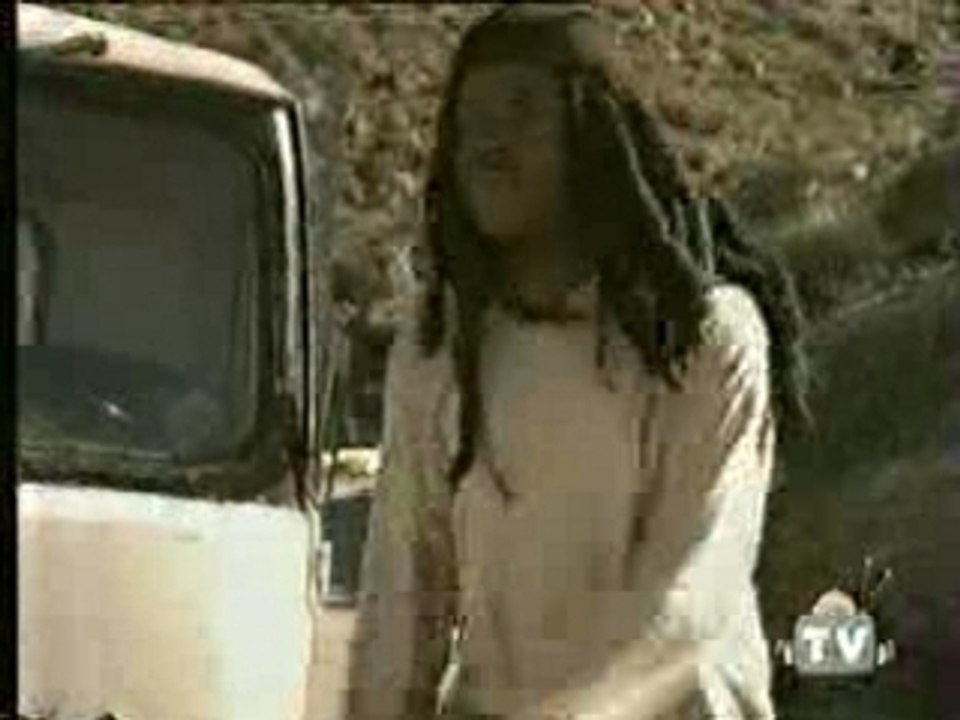 Humour - Pub - Rasta un p'ti coup de main